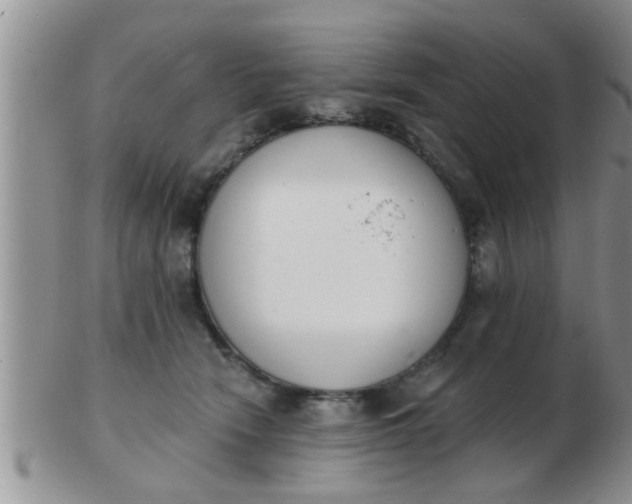 X0000103300466200809122033