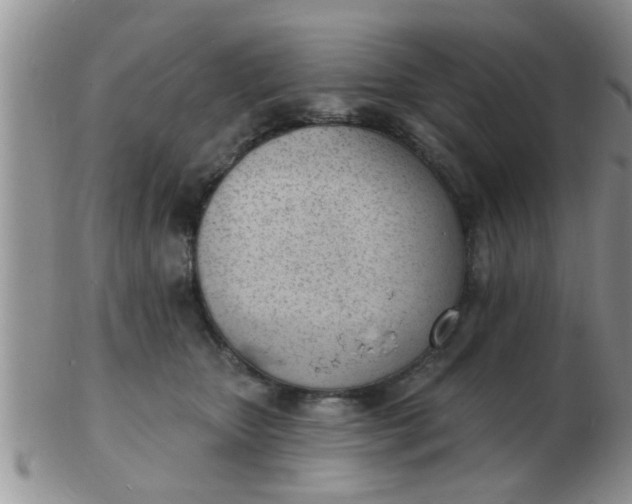 X0000103300467200809122033