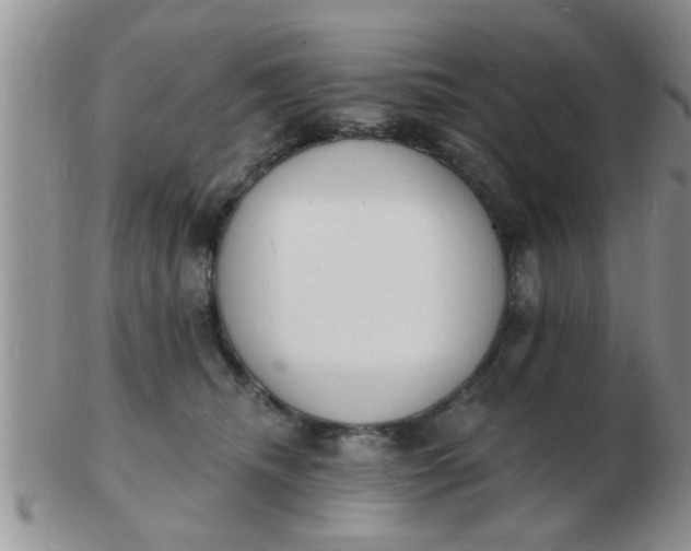 X0000103300468200809122033