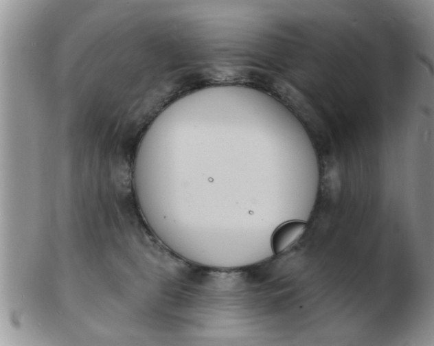 X0000103300469200809122033