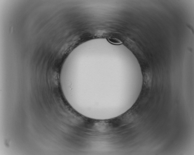 X0000103300470200809122033