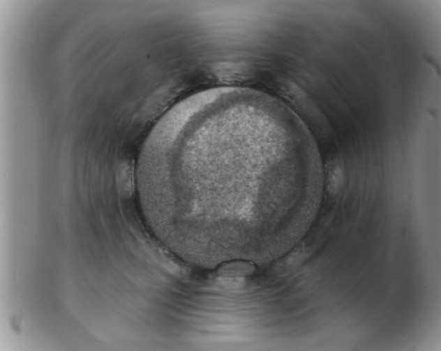 X0000103300471200809122033