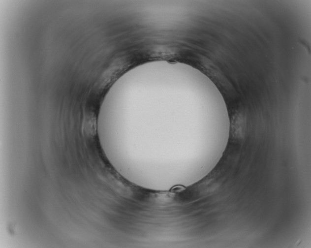 X0000103300474200809122034