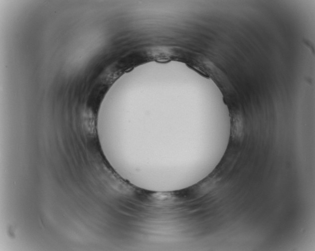 X0000103300477200809122034