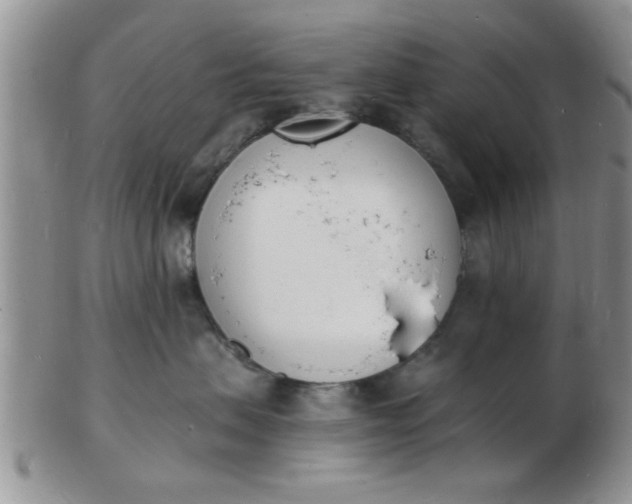 X0000103300479200809122034