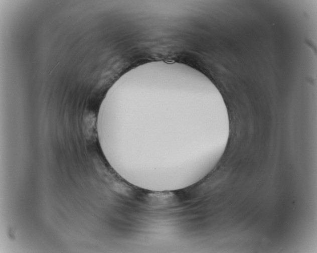 X0000103300480200809122034