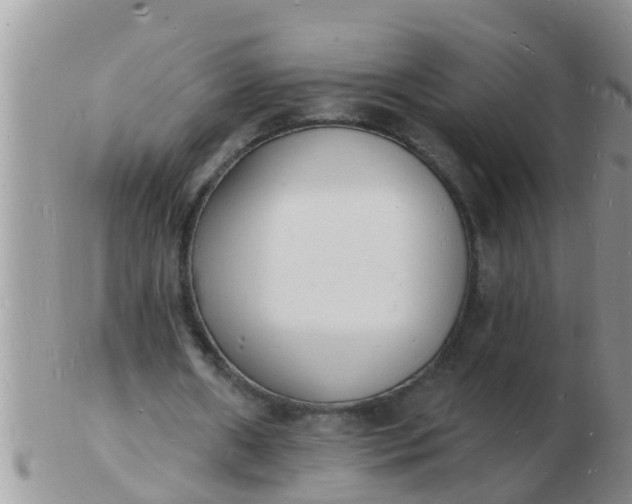 X0000103300482200809122033