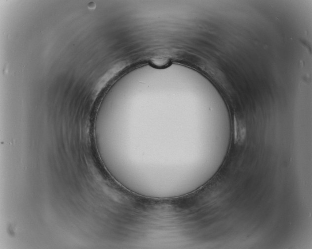 X0000103300483200809122033