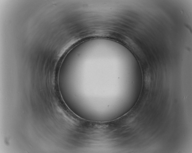 X0000103300484200809122033