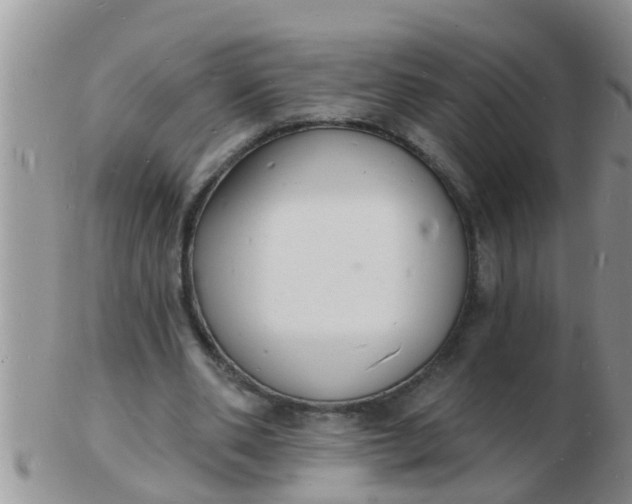 X0000103300486200809122033