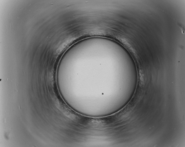 X0000103300487200809122033