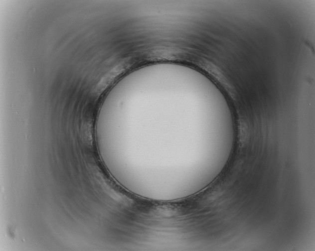 X0000103300489200809122033