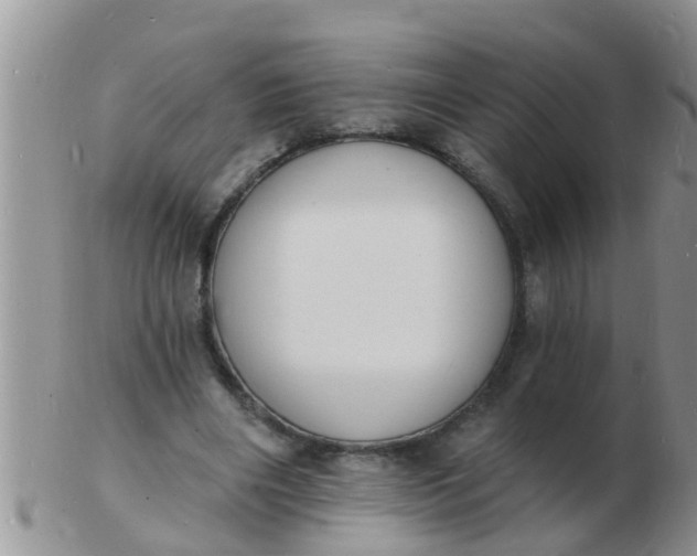 X0000103300490200809122033