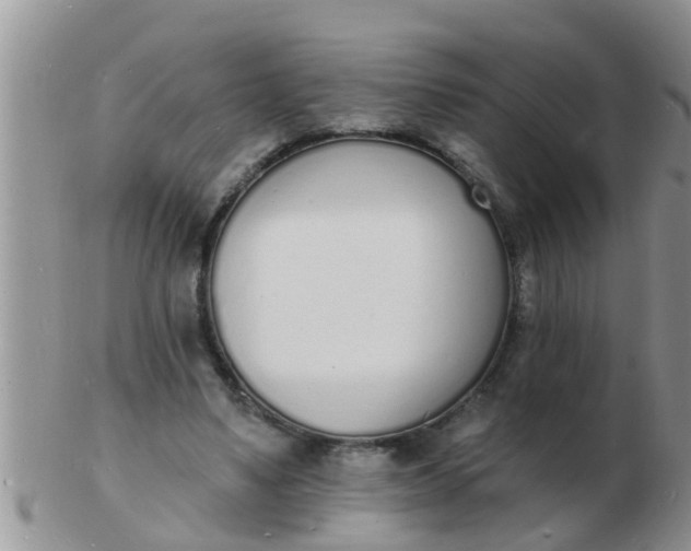 X0000103300491200809122033