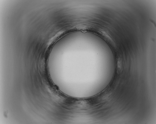 X0000103300492200809122033