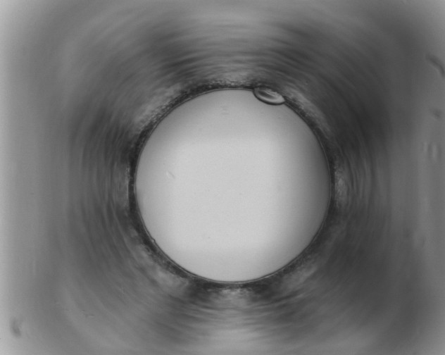 X0000103300493200809122033