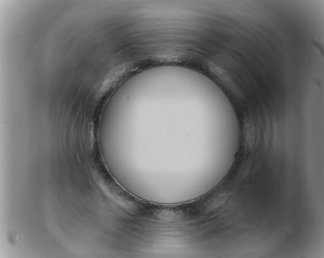 X0000103300494200809122033