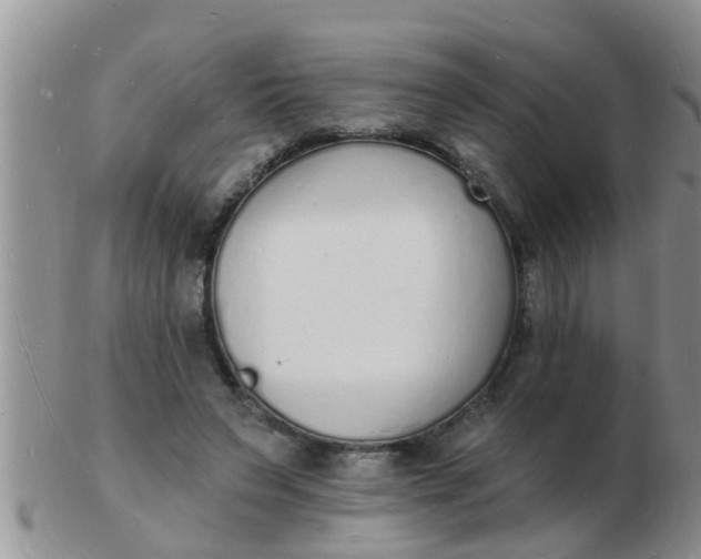 X0000103300495200809122033