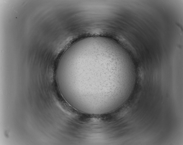 X0000103300496200809122033