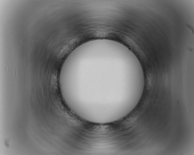 X0000103300497200809122033