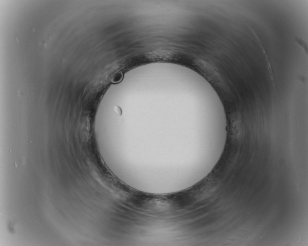 X0000103300498200809122033