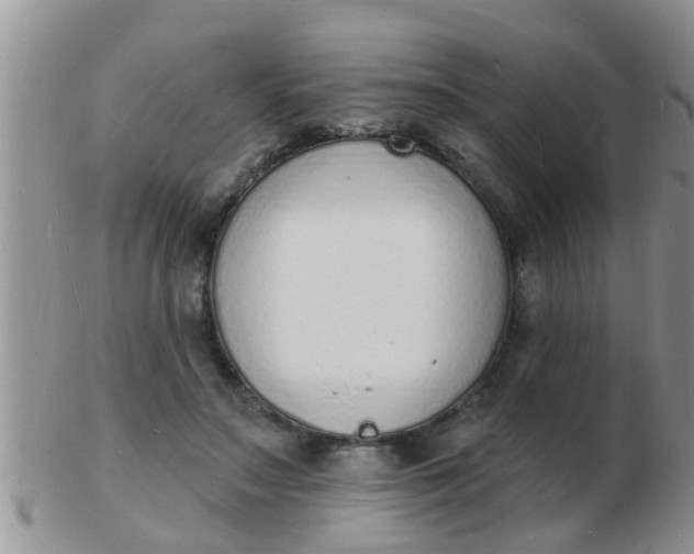 X0000103300499200809122033