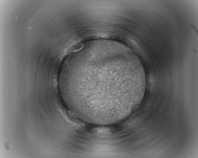 X0000103300500200809122033