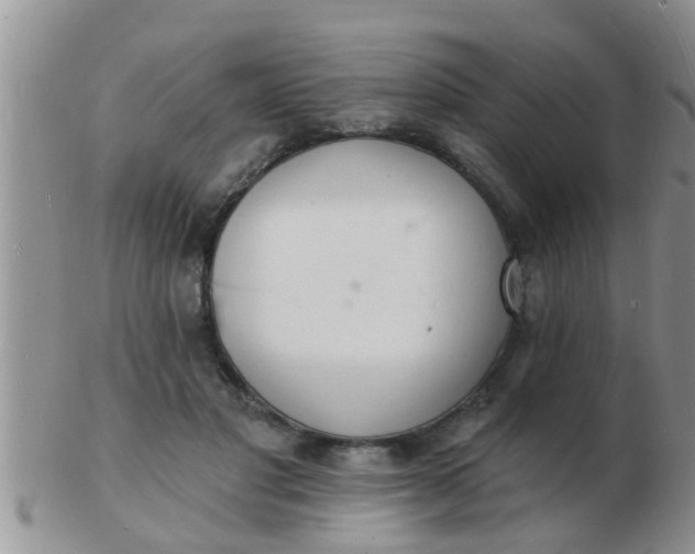 X0000103300501200809122033