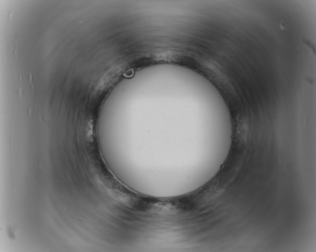 X0000103300502200809122033