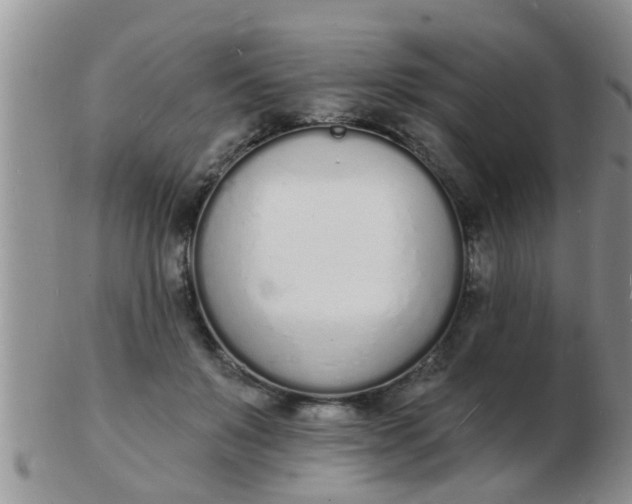 X0000103300503200809122033