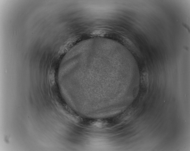 X0000103300504200809122033