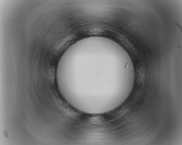 X0000103300505200809122033