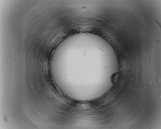 X0000103300506200809122033