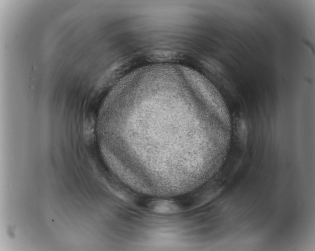 X0000103300507200809122033