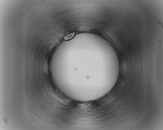 X0000103300508200809122033