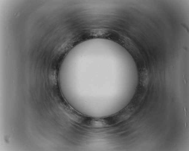 X0000103300510200809122033