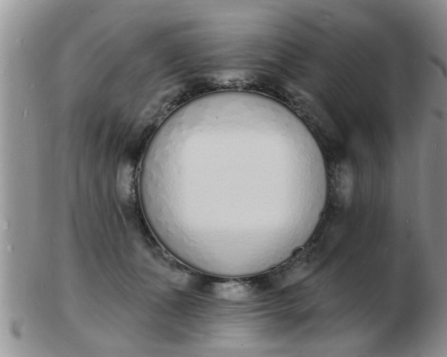 X0000103300511200809122033