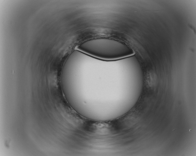 X0000103300512200809122032