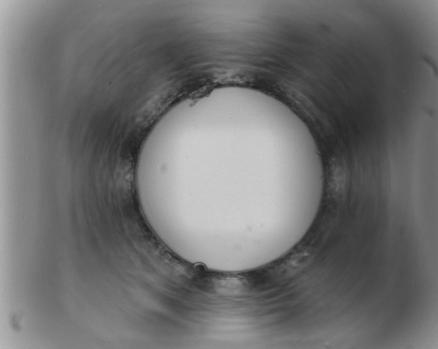 X0000103300513200809122032