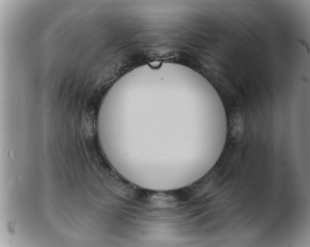 X0000103300515200809122032