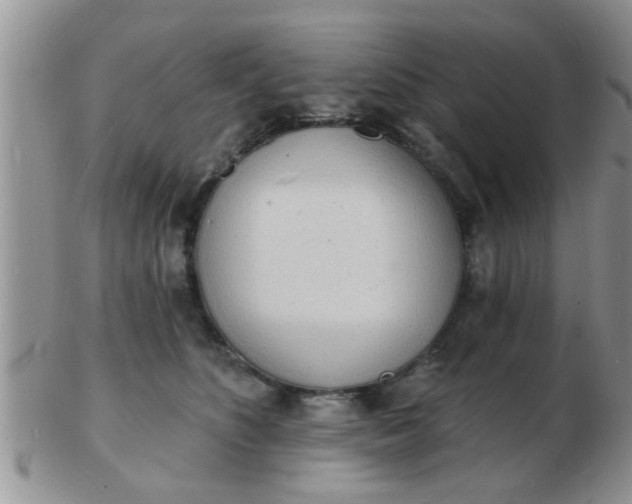 X0000103300516200809122032