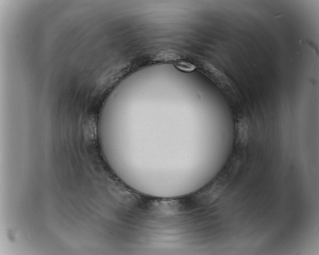 X0000103300517200809122032