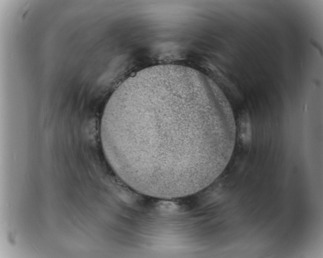 X0000103300519200809122032