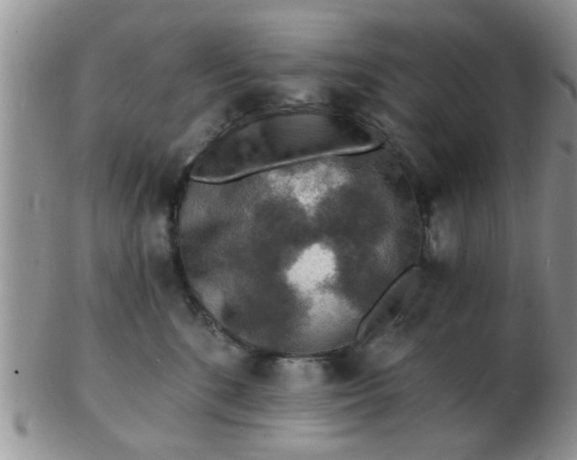 X0000103300520200809122032