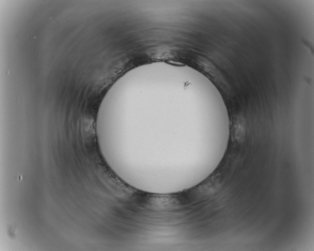 X0000103300521200809122032