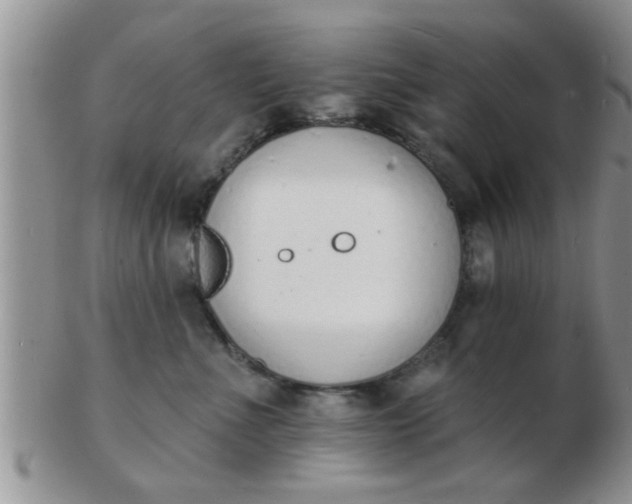 X0000103300523200809122032