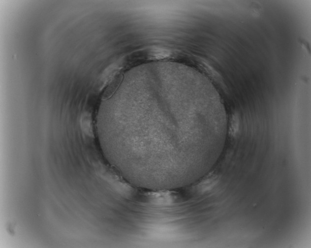 X0000103300524200809122032