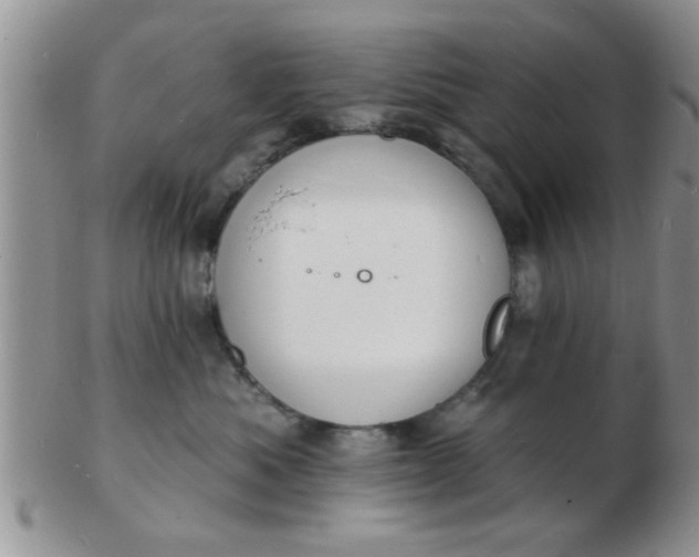 X0000103300525200809122032