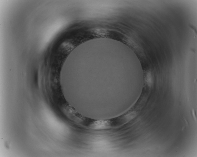 X0000103300526200809122032