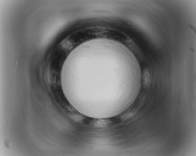 X0000103300527200809122032